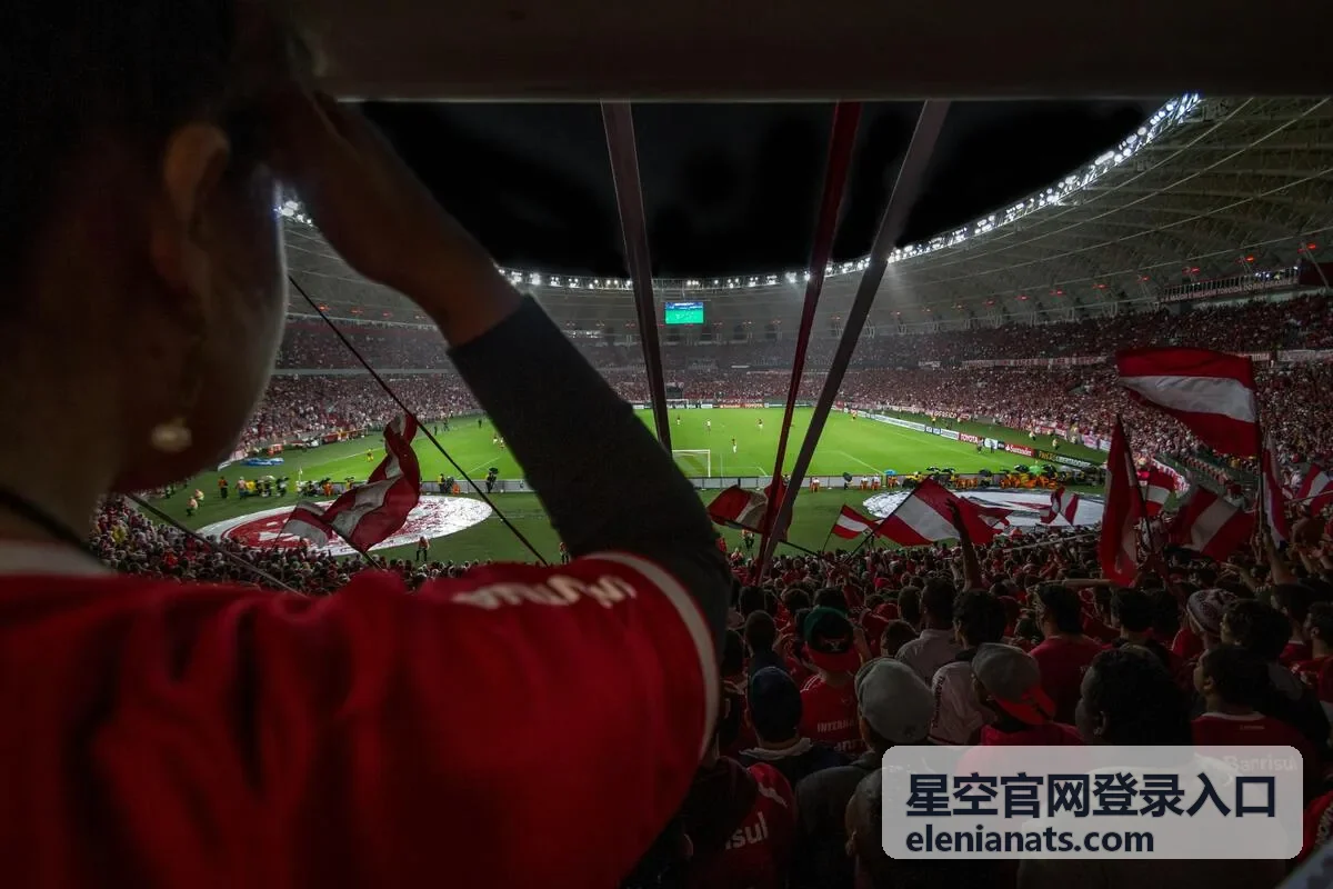 星空官网登录入口移动端登录通道展示