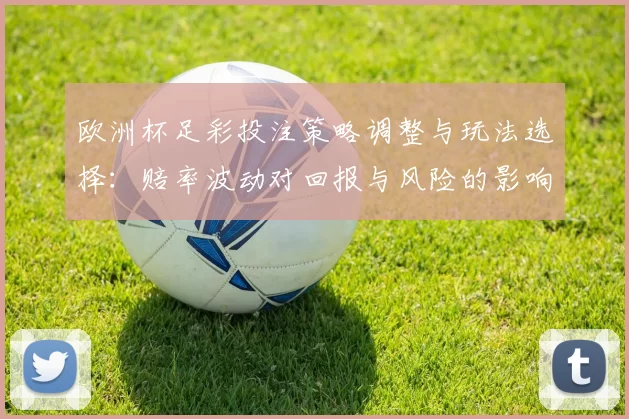 欧洲杯足彩投注策略调整与玩法选择：赔率波动对回报与风险的影响解读