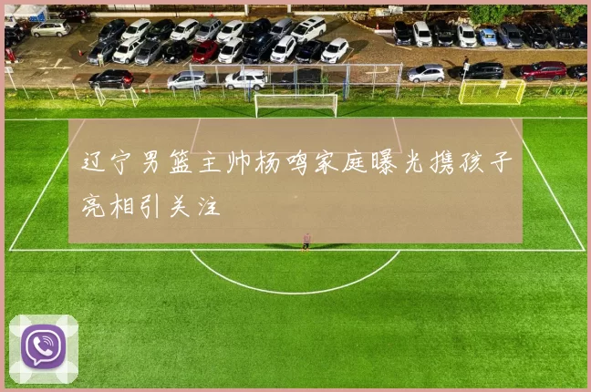 辽宁男篮主帅杨鸣家庭曝光携孩子亮相引关注