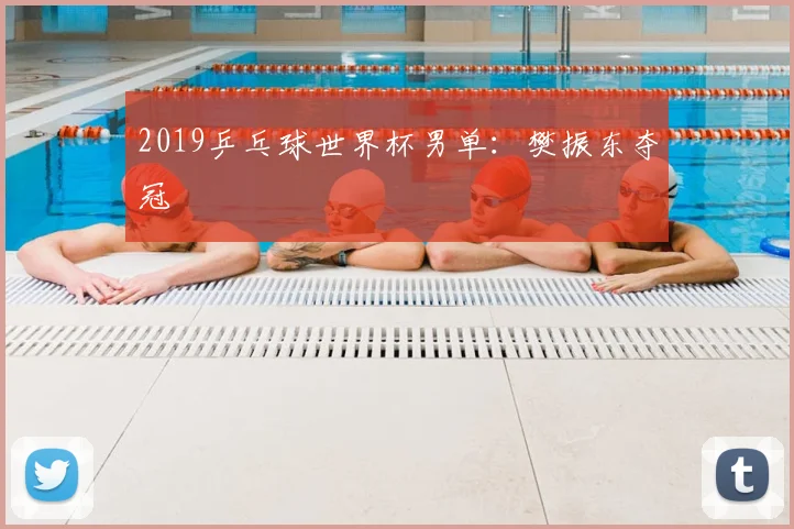 2019乒乓球世界杯男单:樊振东夺冠