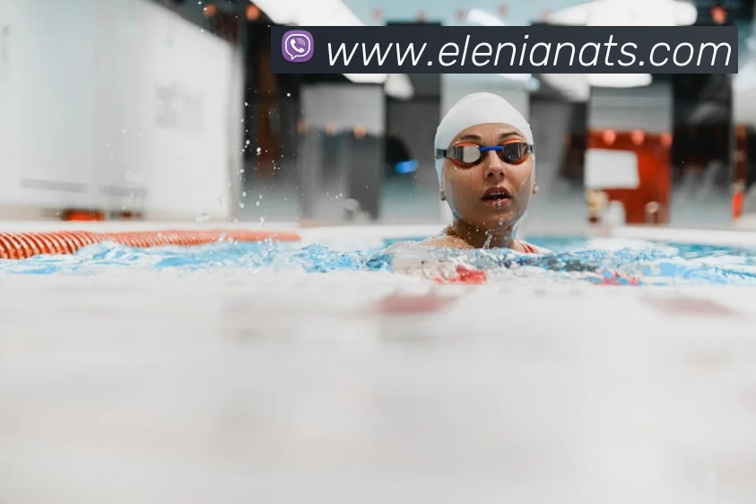 星空app网页登录入口平台生态图